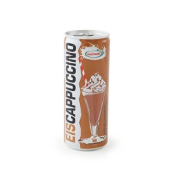 Kavos ir pieno gėrimas  Hochwald Eiscappuccino, 250 ml
