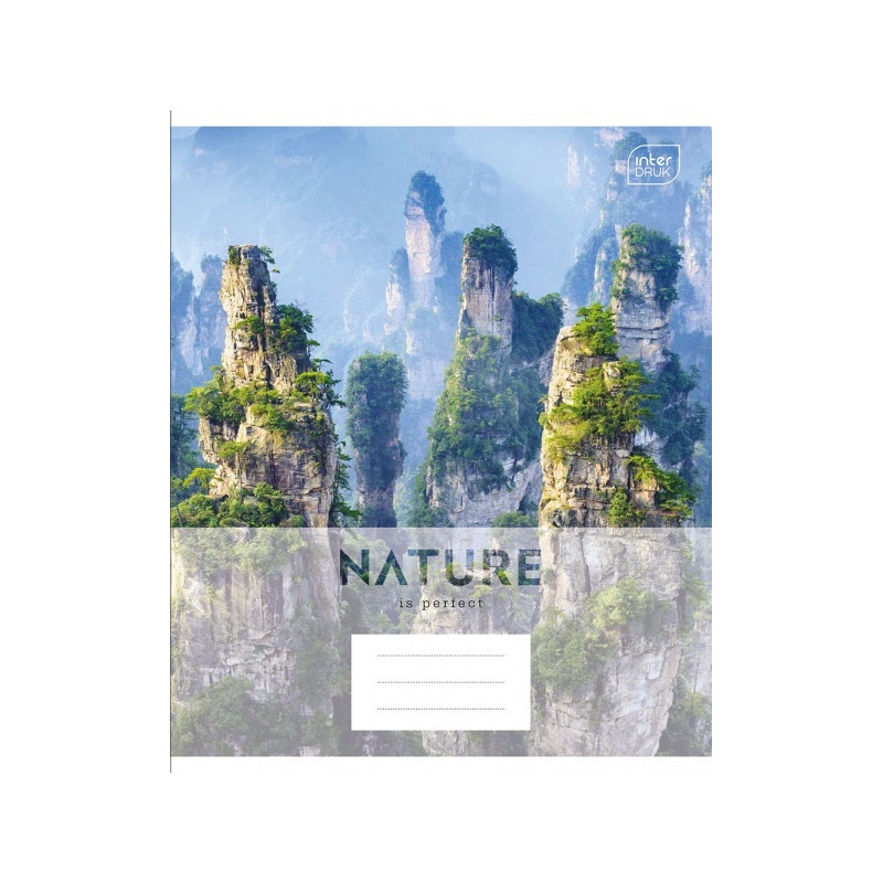 Sąsiuvinis 48 lapų, langeliais