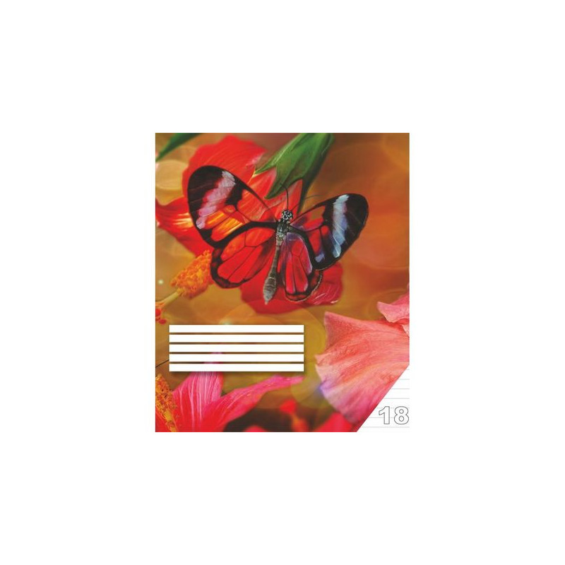 Sąsiuvinis linijomis 18 lap.