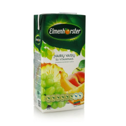 Vitaminizuotas įvairių vaisių sulčių gėrimas Elmenhorster 20%, 2l