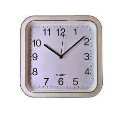 Sieninis laikrodis 25 x 25 cm