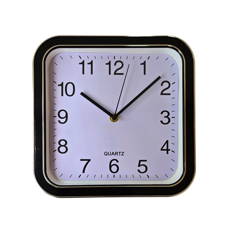 Sieninis laikrodis 25 x 25 cm