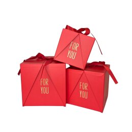 Dovanų dėžutė 1 vnt. 14,5x14,5x14,5 cm surišama