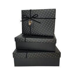 Dovanų dėžutė 1 vnt. 26x19x8 cm