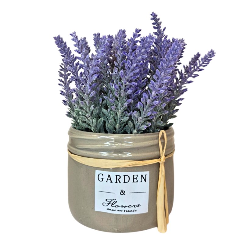 Dirbtinės levandos vazonėlyje 1808