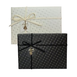 Dovanų dėžutė 1 vnt. 26x19x8 cm