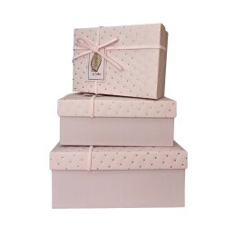 Dovanų dėžutė 1 vnt. 9301-238