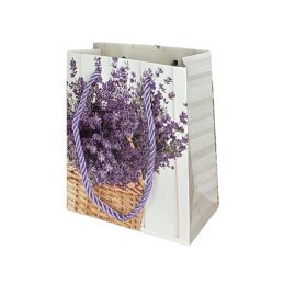 Popierinis dovanų maišelis 12*14*6 cm  DV-BK9673-4