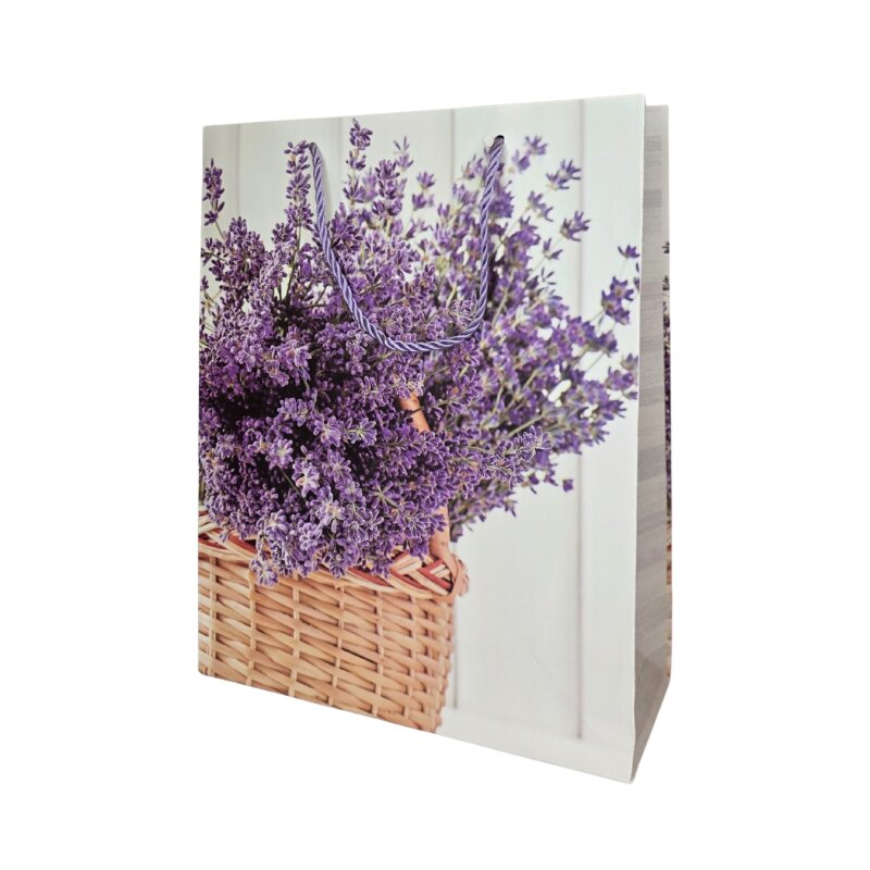 Popierinis dovanų maišelis 26*32*10 cm  DV-BK9673-2M