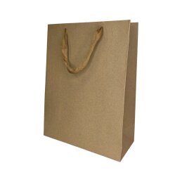 Popierinis dovanų maišelis 29*12.5*38 cm  DN9001XL