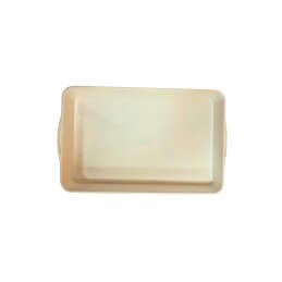 Plastikinis padėklas 40*26cm 064187