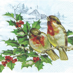 Servetėlės Paukšteliai 33*33cm 20vnt