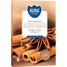 Plauk.žvakučių rinkinys 6vnt Cinnamon