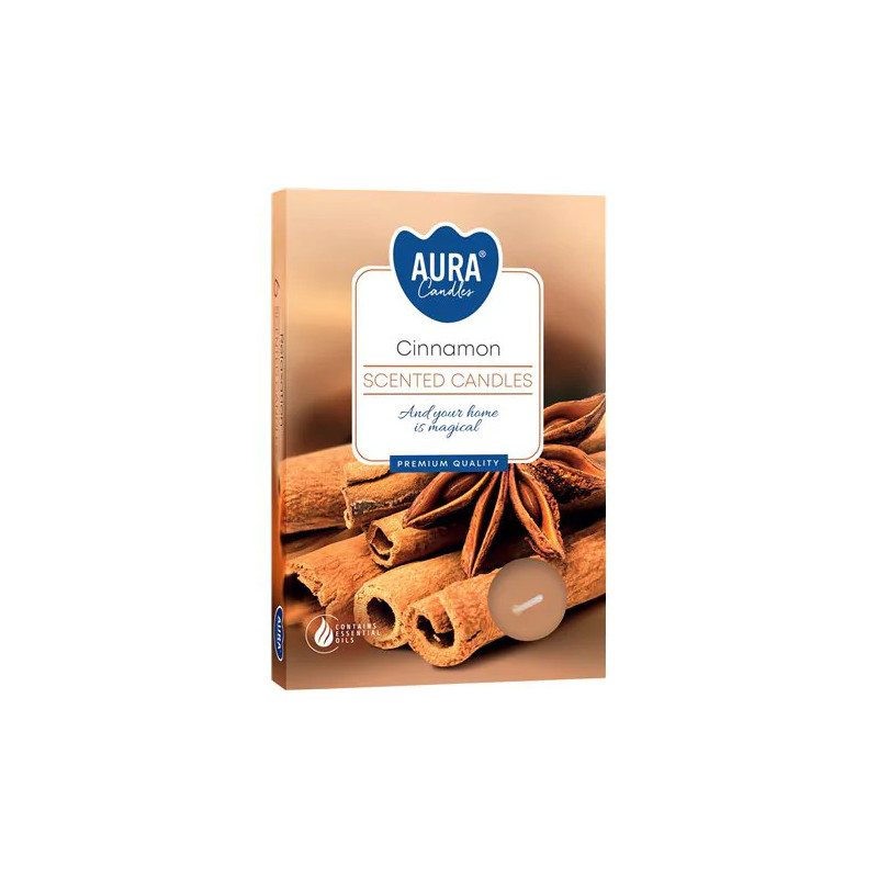 Plauk.žvakučių rinkinys 6vnt Cinnamon