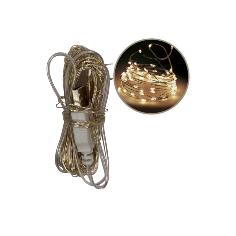 Lempučių girlianda šaltai balta LED100 USB TX019-N03