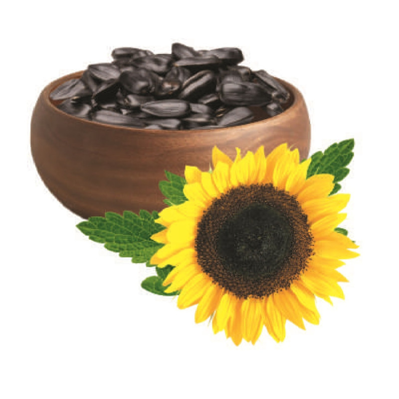 Saulėgrąžos juodos su lukštu (smulkios)
