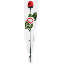 Šokolado skonio Rožė  18g