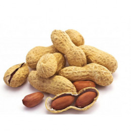 Žemės riešutai su kevalu, kepti