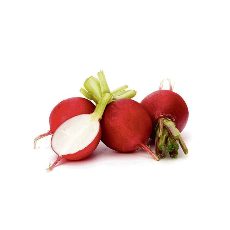 Ridikėliai, raudonieji