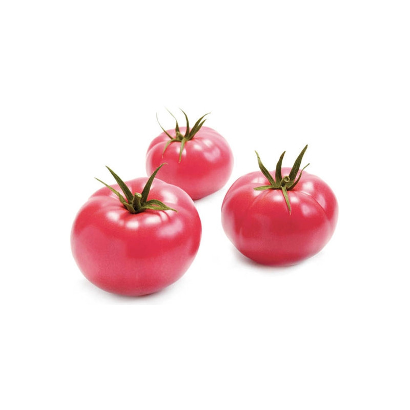 Pomidorai avietiniai B/BB