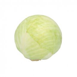 Kopūstai baltagūžiai