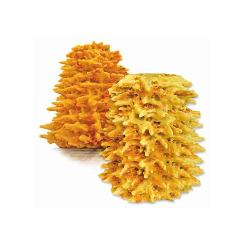 Šakotis MON Trapus 1Kg