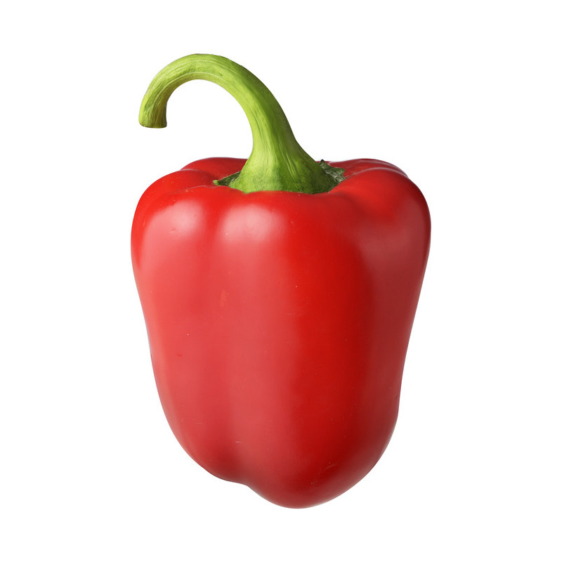Saldžioji paprika, raudona