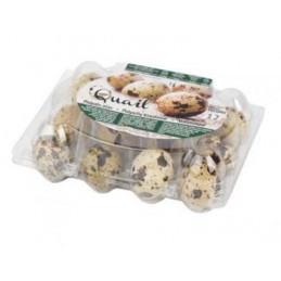 Kiaušiniai PUTPELIŲ 12vnt