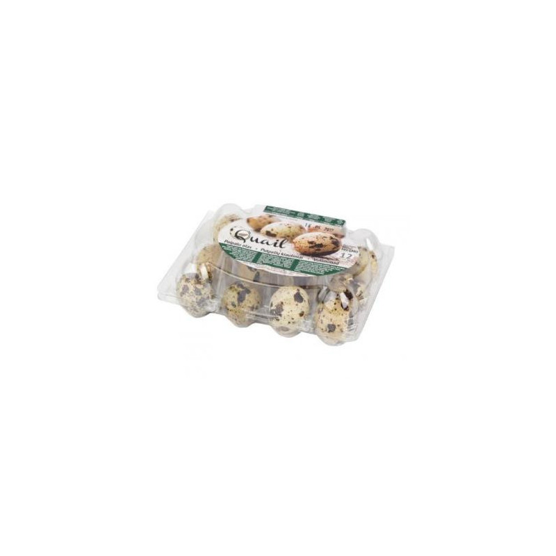 Kiaušiniai PUTPELIŲ 12vnt