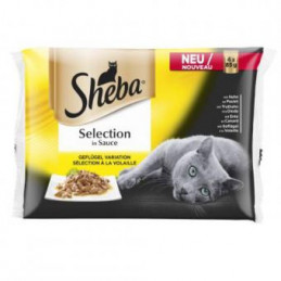 Ėdalas katėms  SHEBA  4X85g