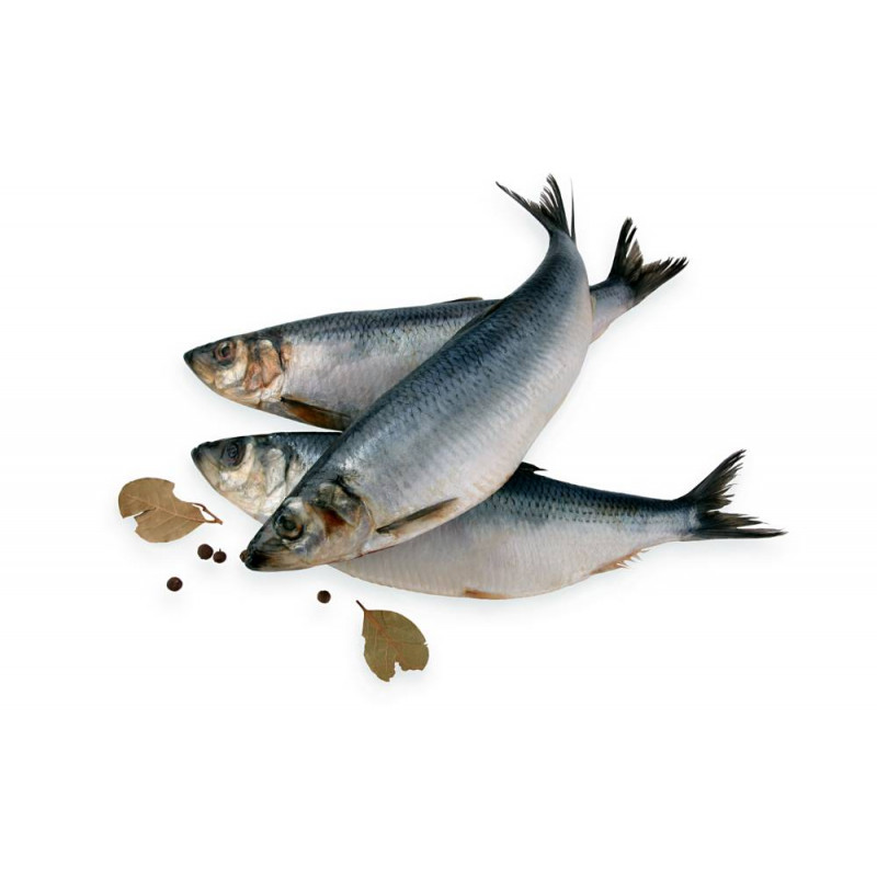 Atlantinės silkės silpnai sūdytos neišdarinėtos, 1kg