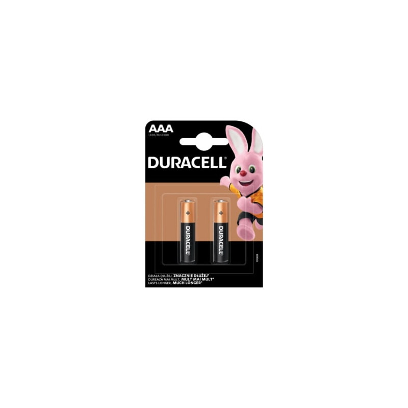 Baterija  Duracell AAA LR03 2vnt